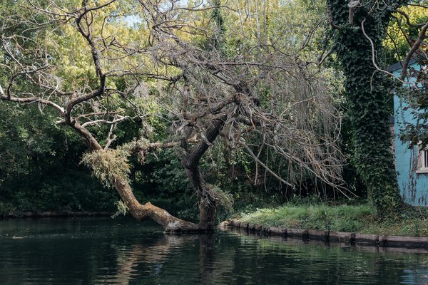 Una GuÃ­a hacia la Salud
